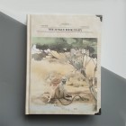Блокнот Книга Джунглів, Мауглі та Мавпа 